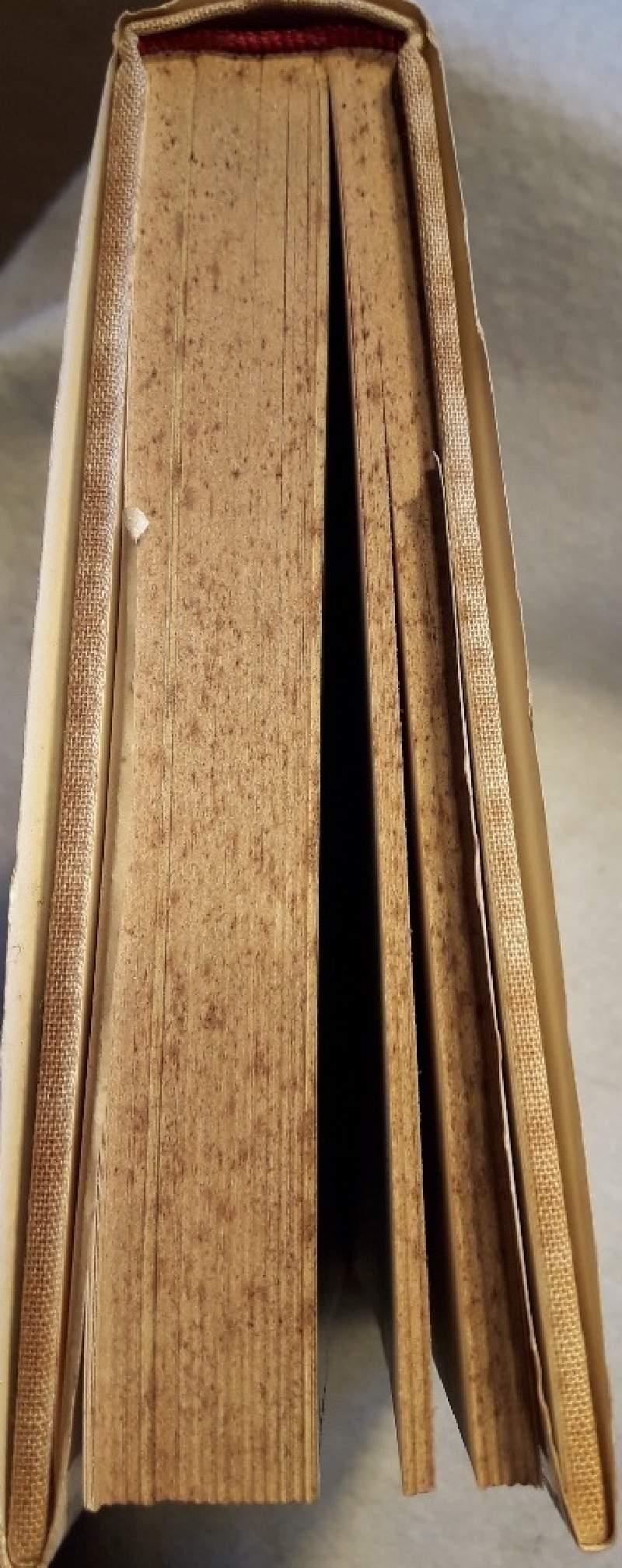 I Mille e Una Notte- Storia Erotica Del Risorgimento