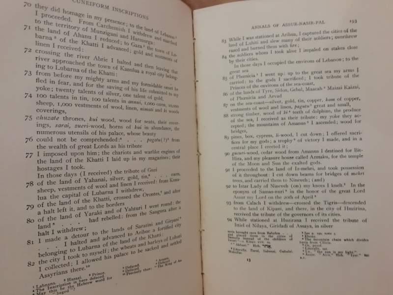 Babylonian And Assyrian Literature 