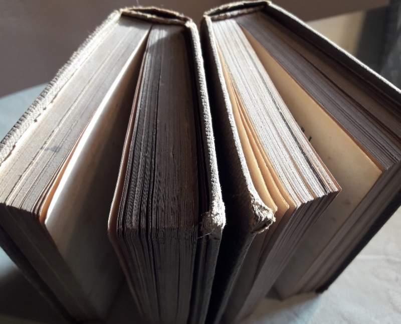 Ilias-2 Tomi/odyssea-2 Tomi