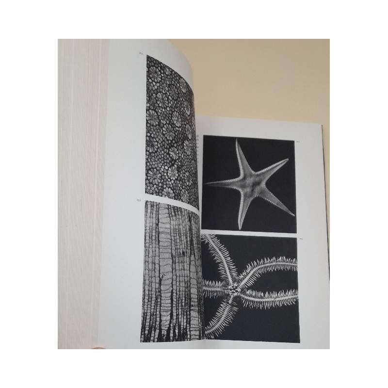 La Vita Sotto Il Microscopio