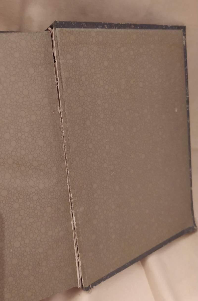 La Pittura I Diversi Processi - Le Malattie Dei Colori - I Quadri Falsi 