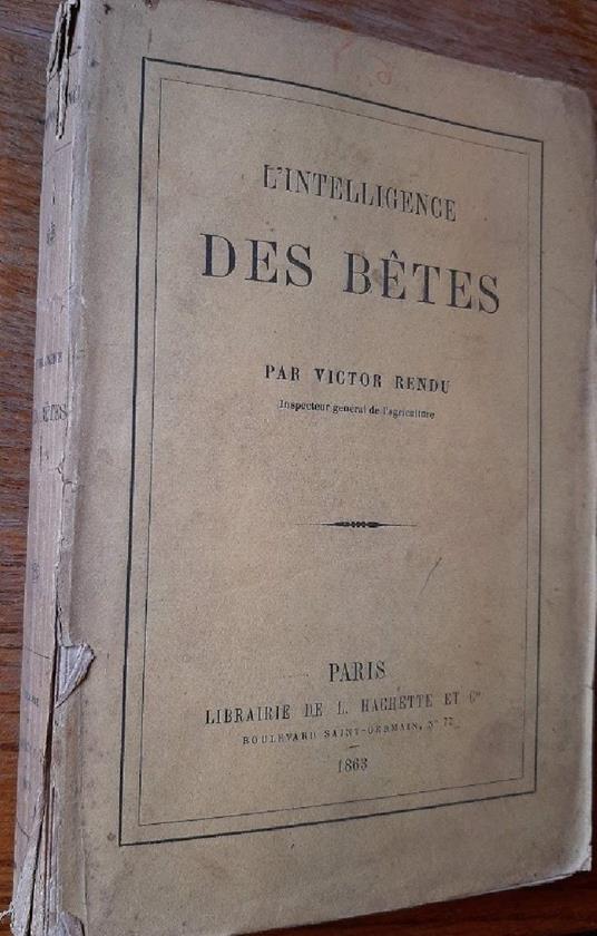 L' intelligence Des Betes - copertina