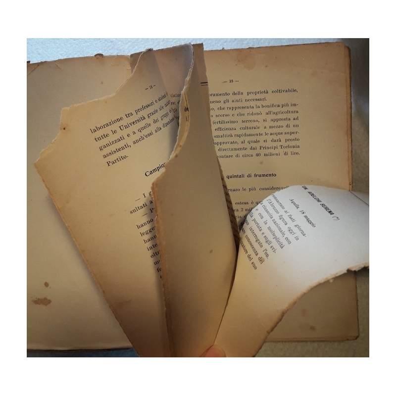 L' italia di Mussolini e Gli Italiani Nuovi