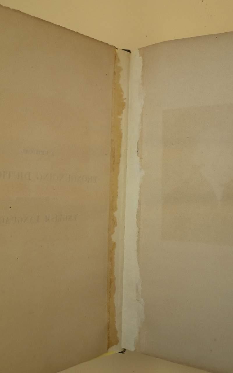 A Critical Pronouncing Dictionary And Expositor Of The English Language