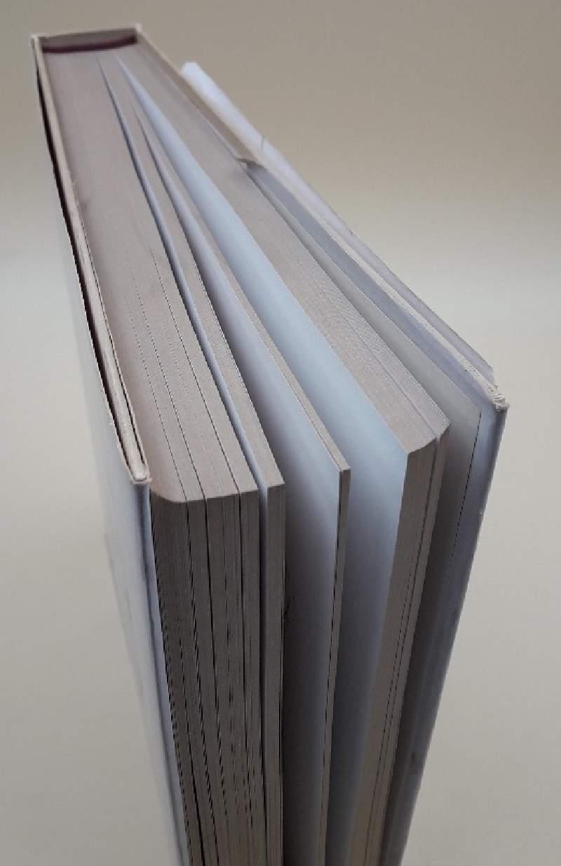 Alberto Giacometti-le Copie Del Passato