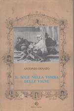 Il Sole Nella Tomba Delle Vigne