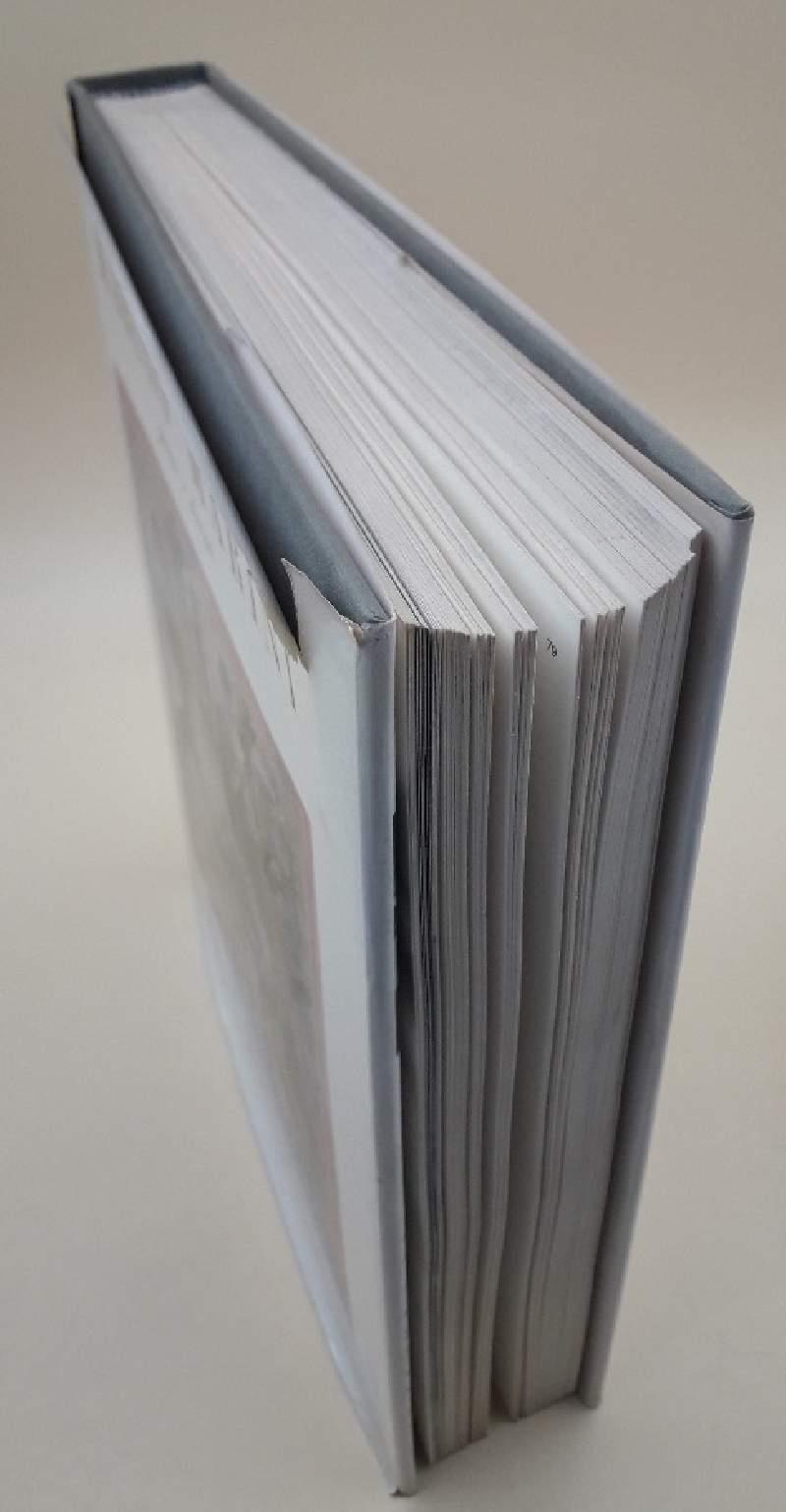 Marino Marini Pitture e Disegni