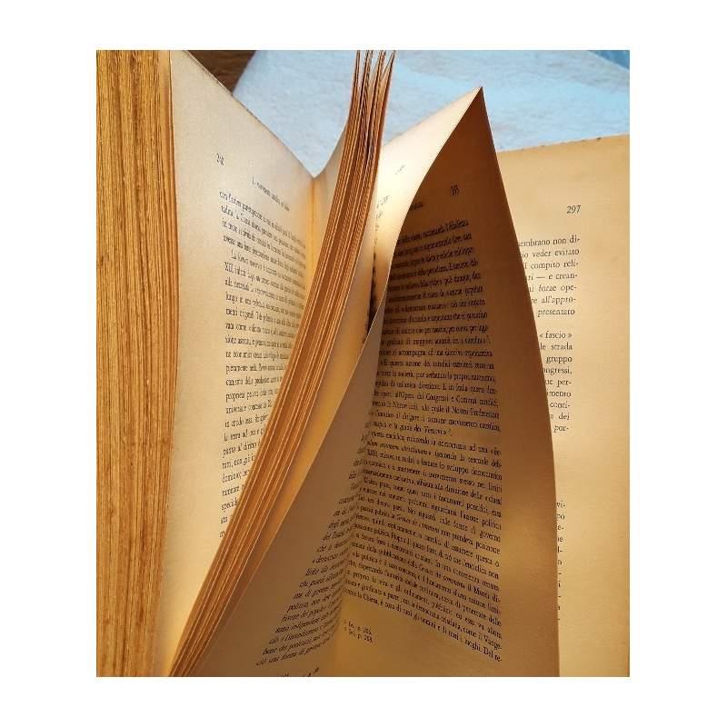 Il Movimento Cattolico in Italia