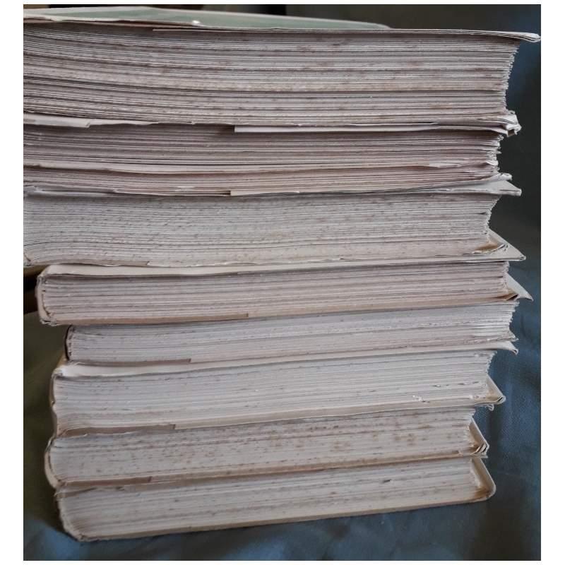 Rarità Bibliografiche Dell'ottocento