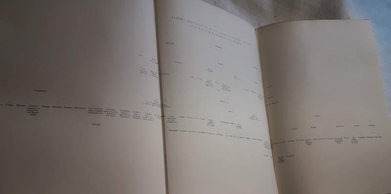 I Libri di Commercio Dei Peruzzo