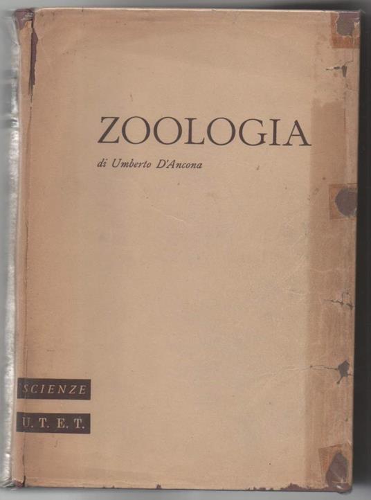 Trattato di Zoologia  - Umberto D'Ancona - copertina