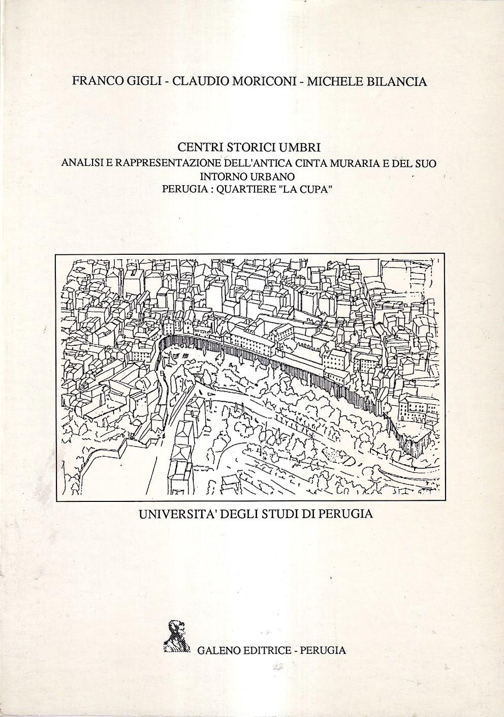 Centri storici umbri. Analisi e rappresentazione dell'antica cinta muraria e del suo intorno urbano. Perugia: quartiere "La Cupa"