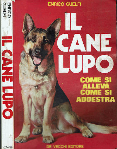 ExNovo Libreria