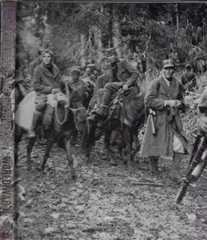 Partisans and guerrillas - copertina