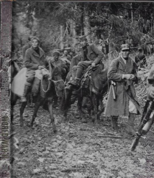 Partisans and guerrillas - copertina