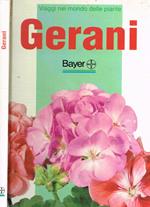 Gerani