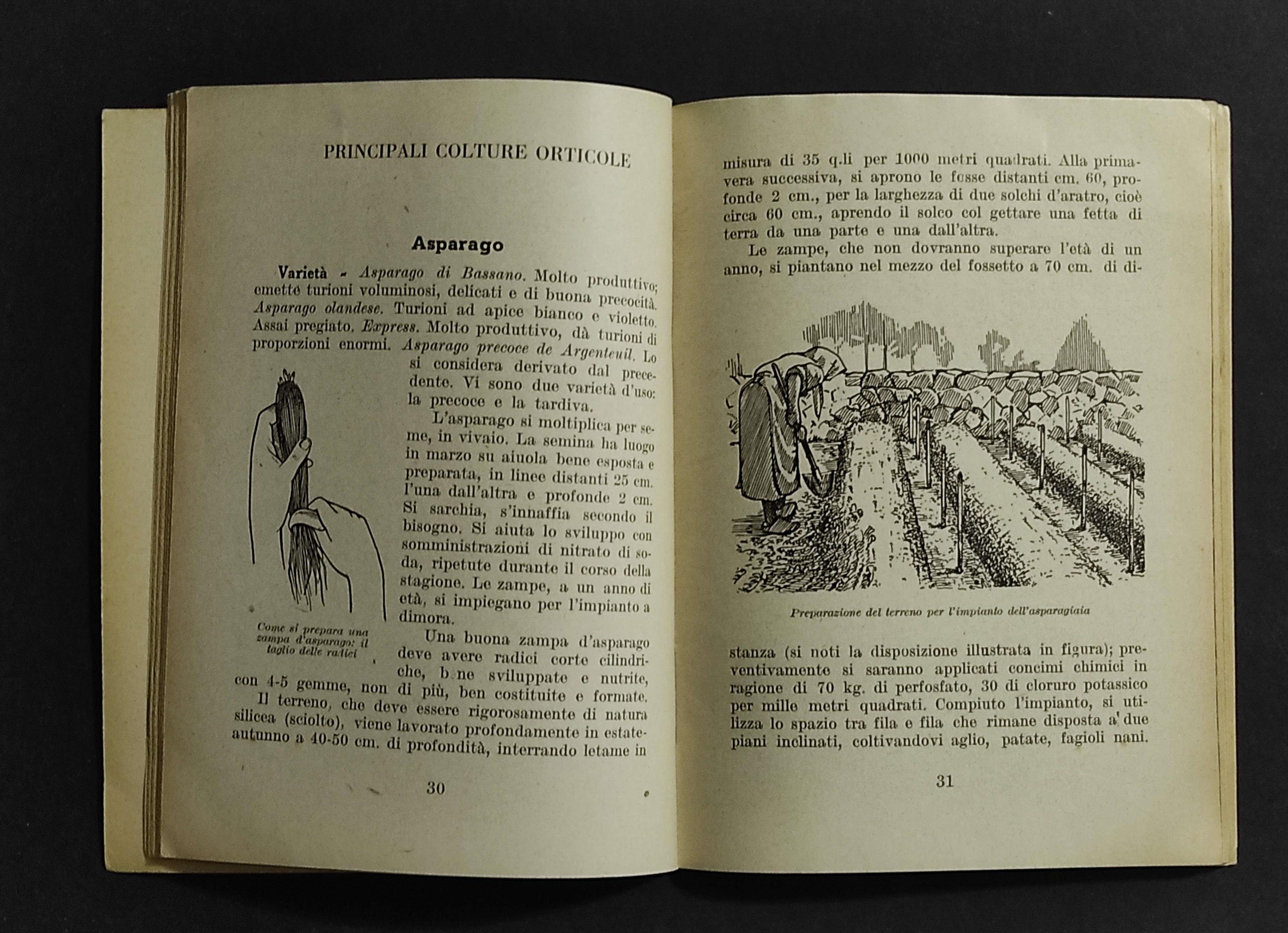 L' Orto Famigliare - E. Bassi - Ed. Degli Agricoltori