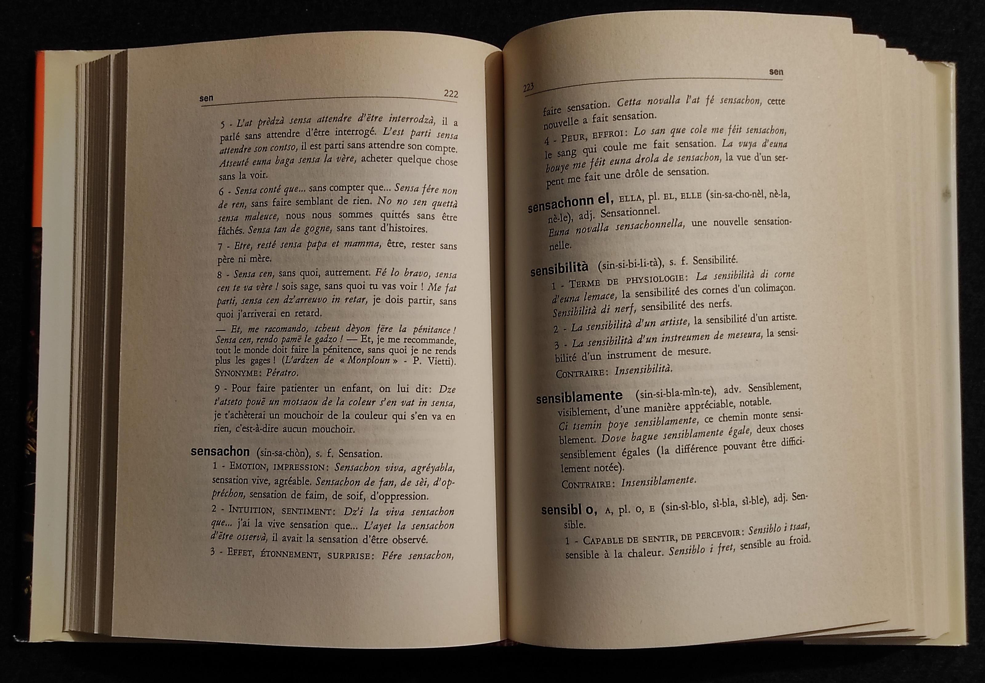 Nouveau Dixtionnaire de Patois Valdotain - Ri-Tè - Ed. Musumeci