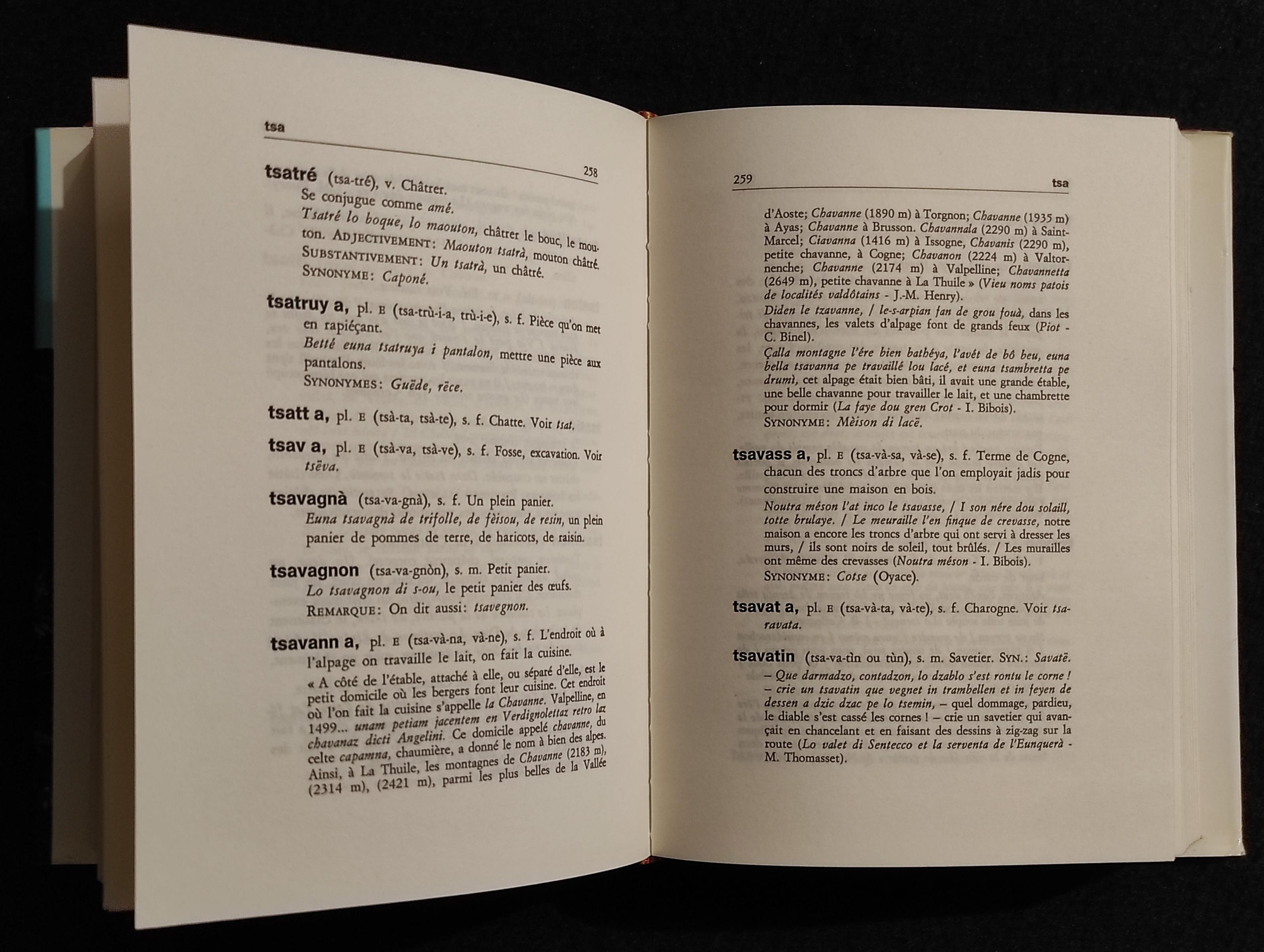 Nouveau Dictionnaire de Patois Valdotain - Ti-Z - Ed. Musumeci