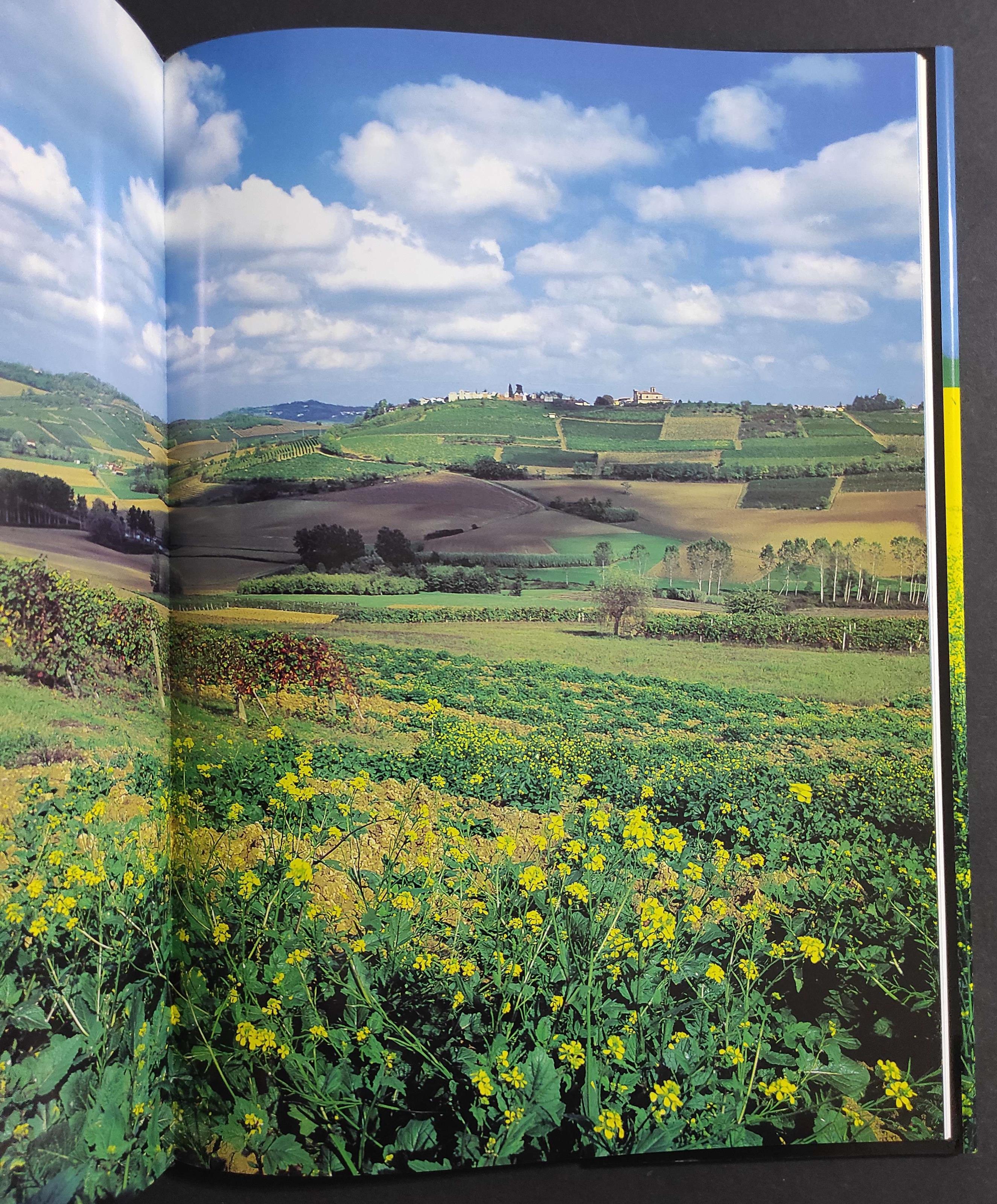 Emozione Piemonte - Ed. Priuli & Verlucca