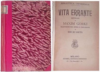 Vita errante - Massimo Gori - copertina