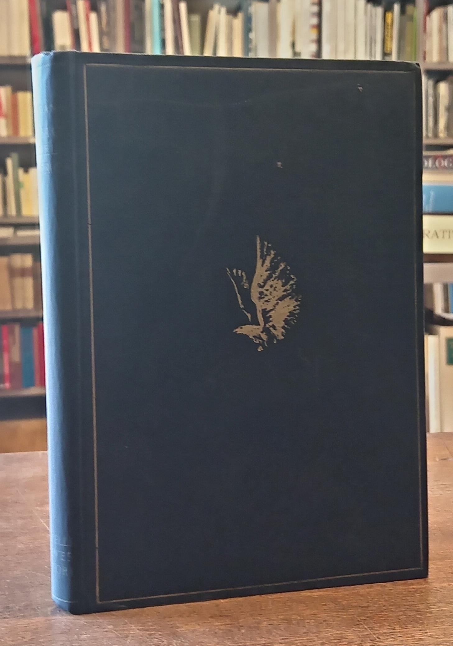 Libreria Aldrovandi