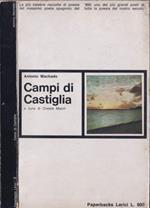 Campi di Castiglia
