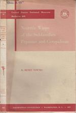 Nearctic Wasps of the Subfamilies Pepsinae and Ceropalinae