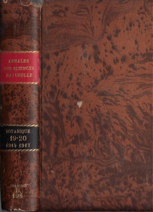 Biblioteca di Babele