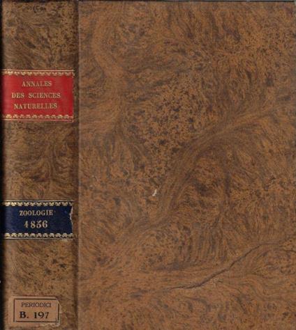 Annales des sciences naturelles IV série zoologie tome V-VI 1856 - copertina