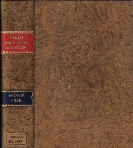 Annales des sciences naturelles IV série zoologie tome V-VI 1856 - copertina