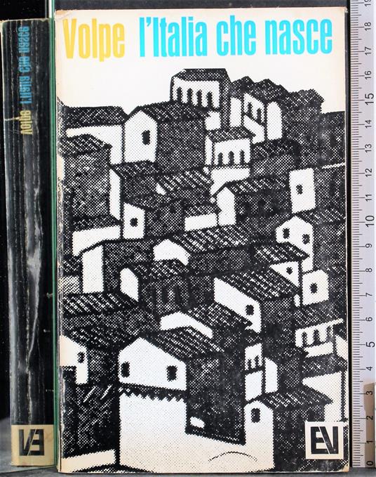 L' Italia che nasce - Gioacchino Volpe - copertina