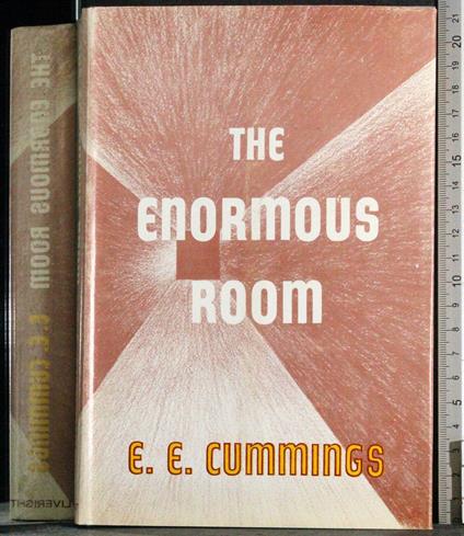 The enormous room - copertina