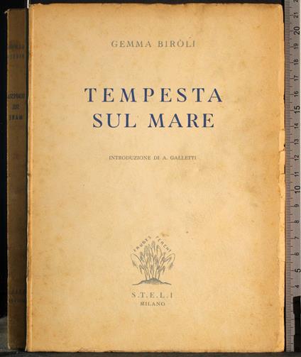 Tempesta sul mare - Gemma Biroli - copertina