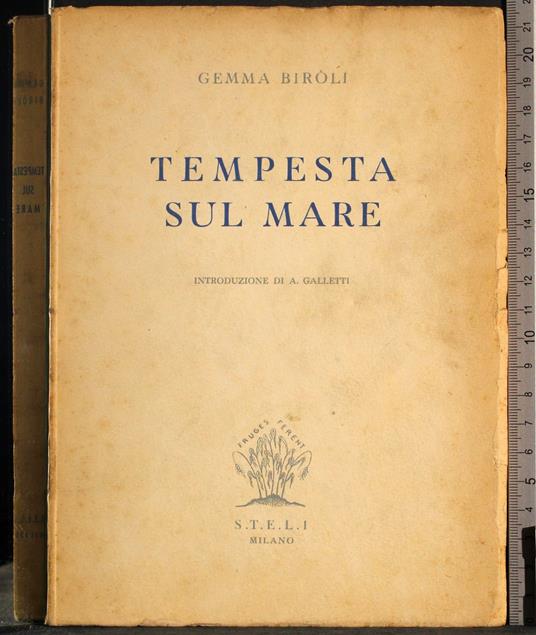 Tempesta sul mare - Gemma Biroli - copertina