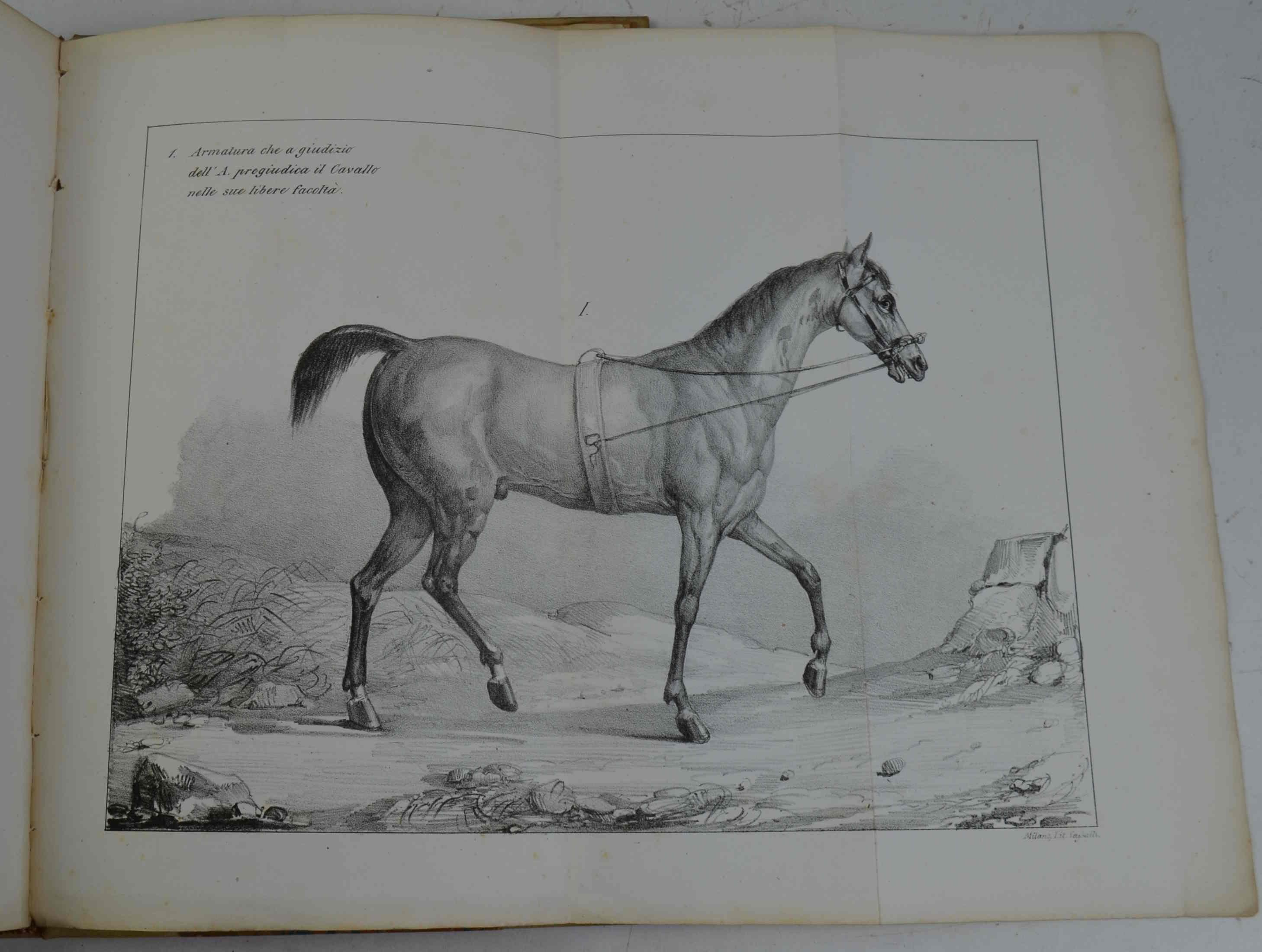 Studio bibliografico Benacense