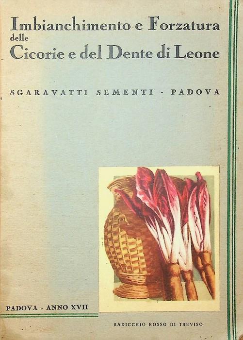 Imbianchimento e forzatura delle cicorie e del Dente di Leone: manuale pratico
