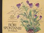 Guida pratica ai fiori spontanei in Italia