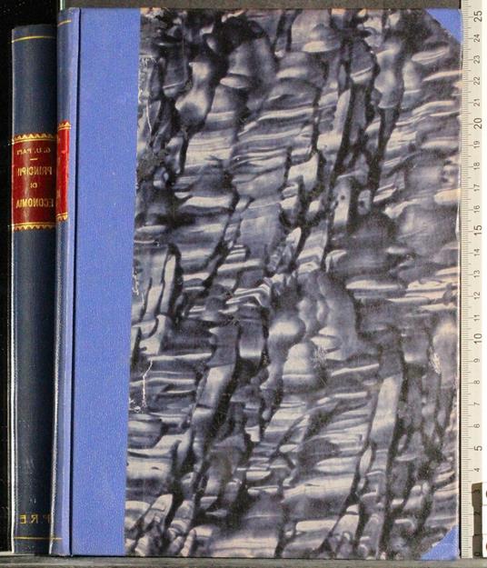 Principi di economia. Vol 1 - Giuseppe Ugo - copertina