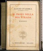 Il passo nella mia strada