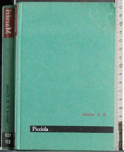 Maestri. Piccola - copertina