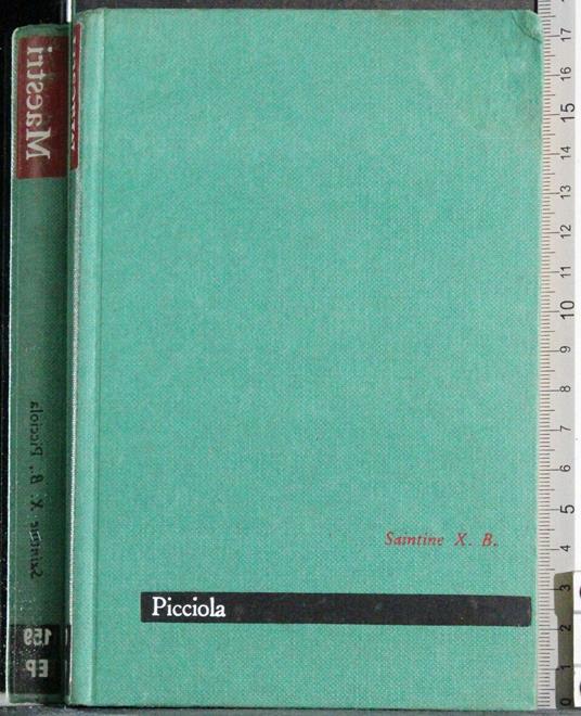 Maestri. Piccola - copertina