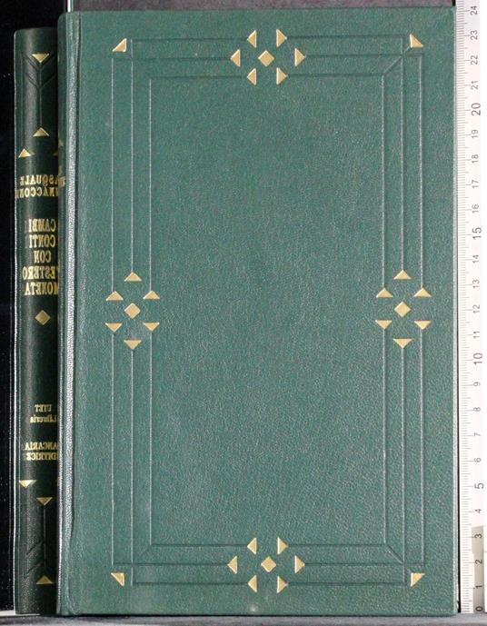 Cambi, conti con l'estero, moneta - Pasquale Jannaccone - copertina