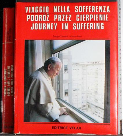 Viaggio nella sofferenza - copertina