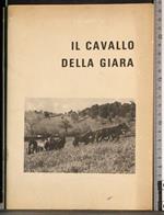 Il cavallo della giara