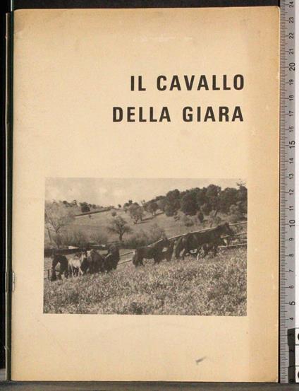 Il cavallo della giara - Lucio Gratani - copertina