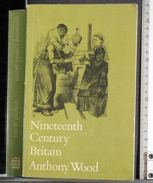 Nineteenth Century Britain - Anthony Wood - copertina