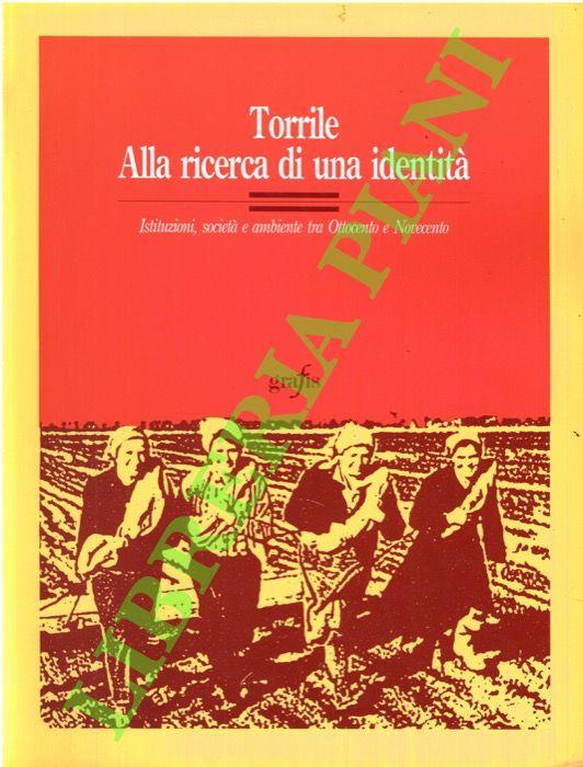 Torrile. Alla ricerca di una identità. Istituzioni, società e ambiente tra Ottocento e Novecento