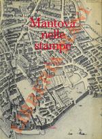 Mantova nelle stampe. Trecentottanta carte, piante, e vedute del territorio mantovano