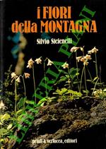 I fiori della montagna